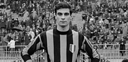 Aristide Guarneri