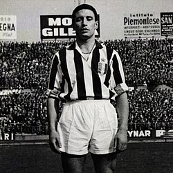 Bruno Garzena