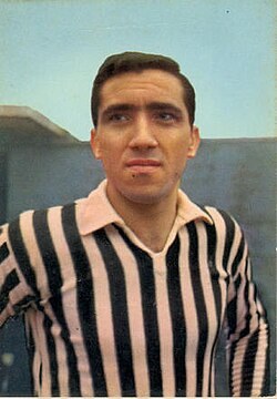 Gaetano Troja