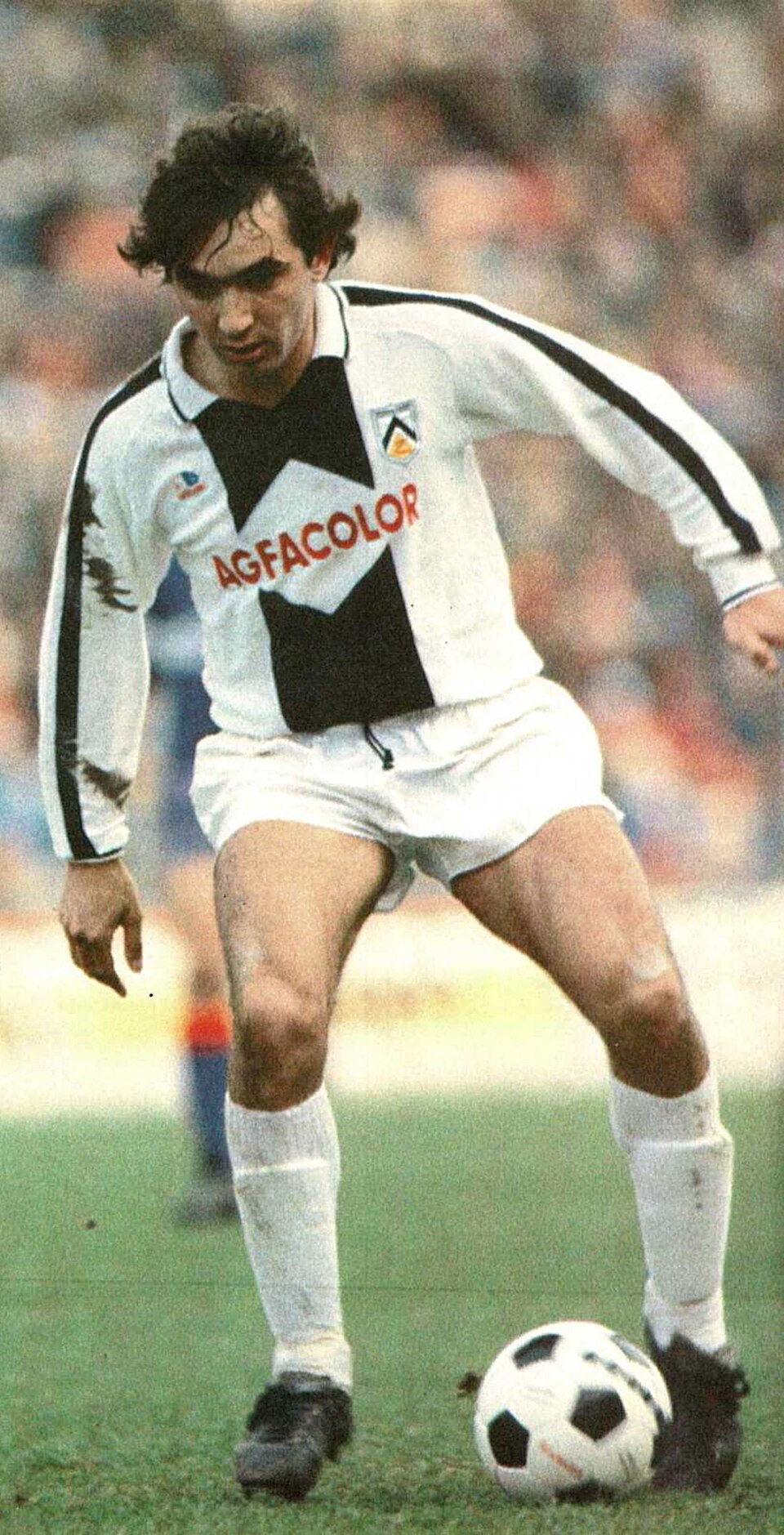 Massimo Mauro