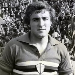 Roberto Badiani
