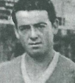 Vinicio Viani