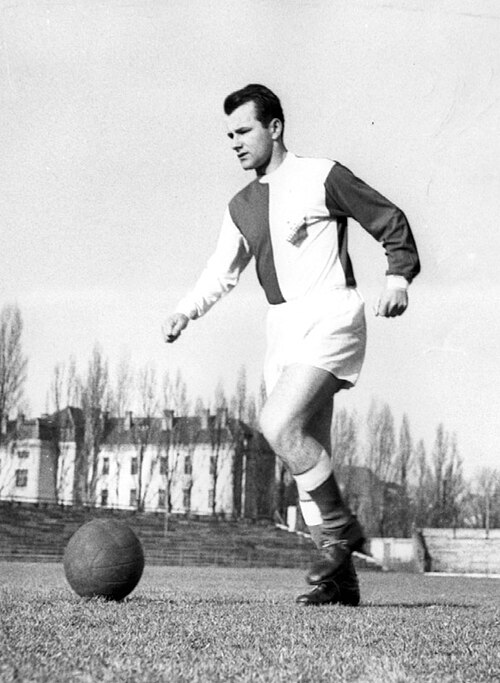 Vujadin Boškov