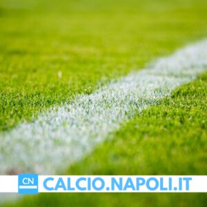 Read more about the article Le parole di Antonio Corbo su Insigne e Osimhen