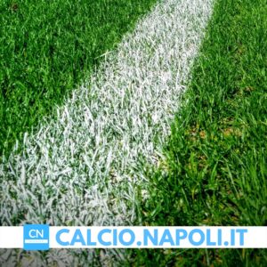 Read more about the article Le parole di Sabatini a Goal Show